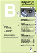 Index able inserts for turning (negative/positive inserts/ceramic)