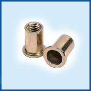 Flat headed cylindrical AMSERT embedded nuts